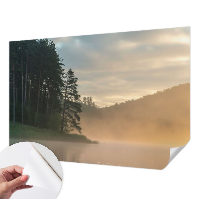 3D fototapet med motiv av en dimmig morgon