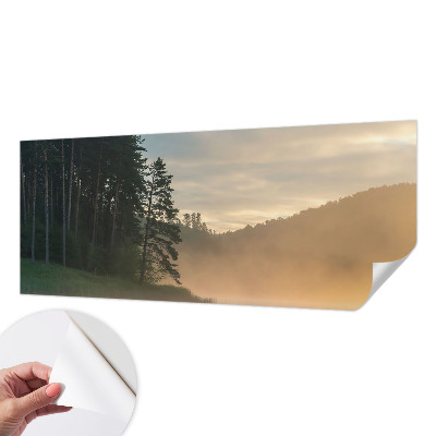 3D fototapet med motiv av en dimmig morgon
