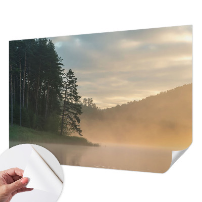 3D fototapet med motiv av en dimmig morgon