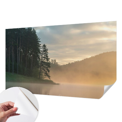 3D fototapet med motiv av en dimmig morgon