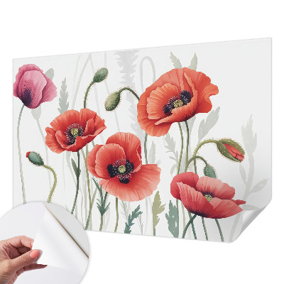 Fototapet barn Röda vallmo