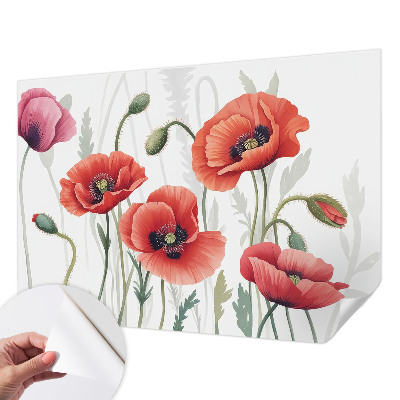 Fototapet barn Röda vallmo