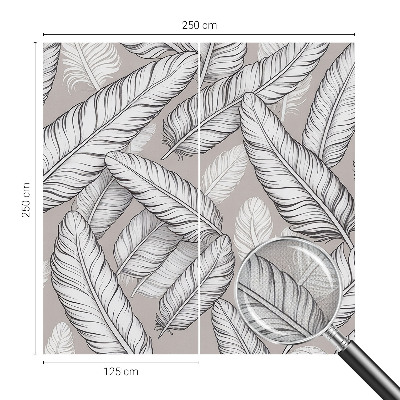 Självhäftande fotovägg Subtila fjädrar