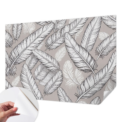 Självhäftande fotovägg Subtila fjädrar