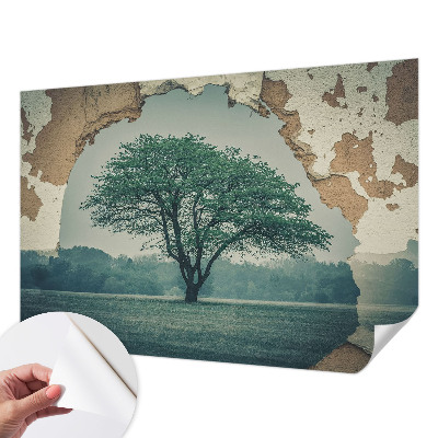 Självhäftande fototapet Ett ensamt träd