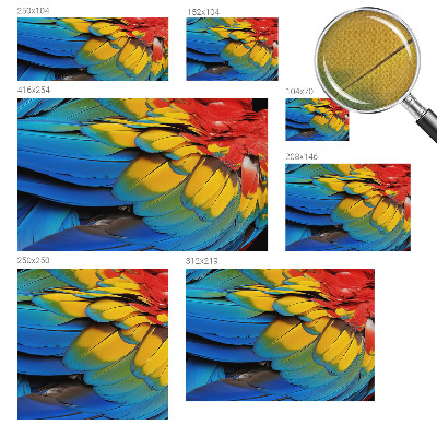 Peel and stick fototapet Regnbågsfjädrar