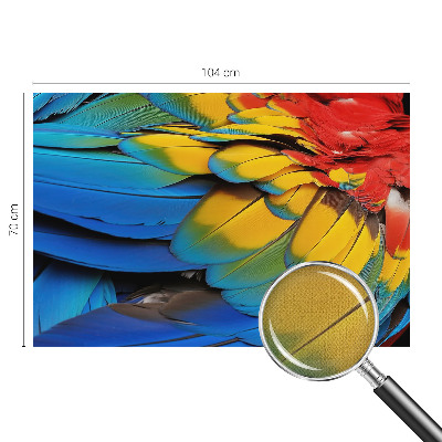 Peel and stick fototapet Regnbågsfjädrar