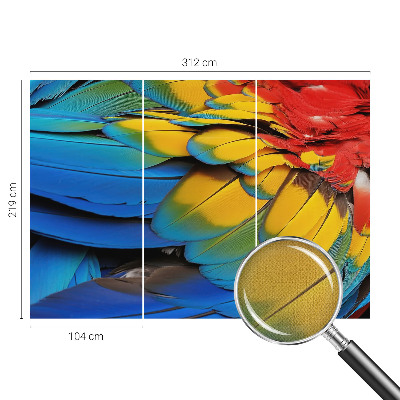 Peel and stick fototapet Regnbågsfjädrar