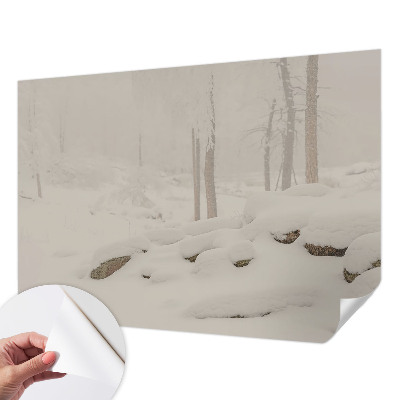 Självhäftande fotovägg med motiv av en snöig skog