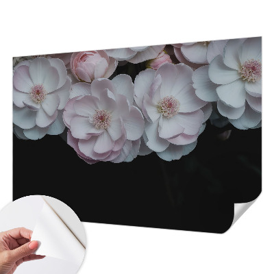 Självhäftande fototapet En delikat bukett