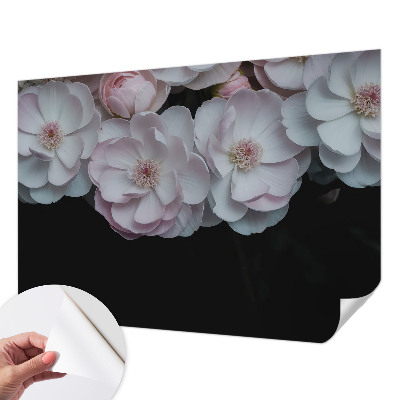 Självhäftande fototapet En delikat bukett