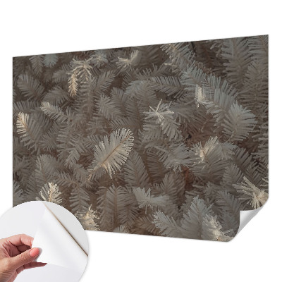 3D fototapet med motiv av frostiga kvistar