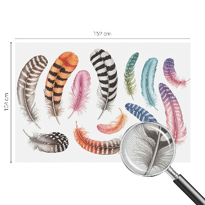 Peel and stick fototapet Pastellfärgade fjädrar