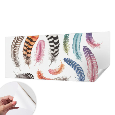 Peel and stick fototapet Pastellfärgade fjädrar