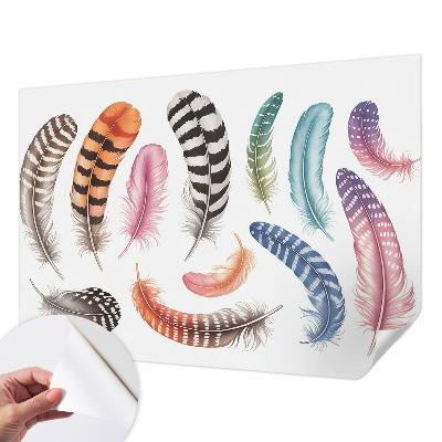 Peel and stick fototapet Pastellfärgade fjädrar