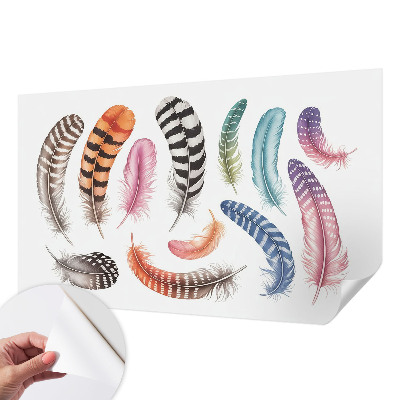 Peel and stick fototapet Pastellfärgade fjädrar