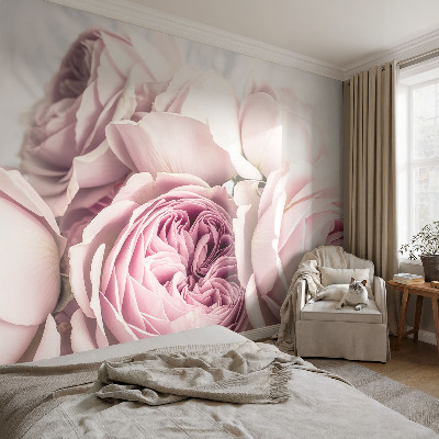 3D fototapet med rosa rosor