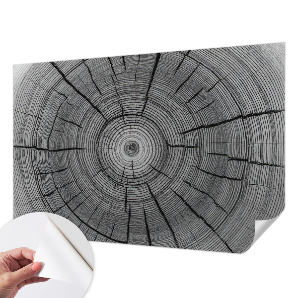 Fototapet för barn Skogens harmoni