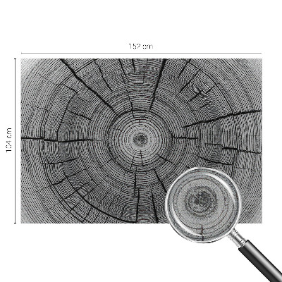 Fototapet för barn Skogens harmoni