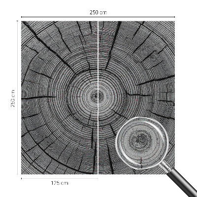 Fototapet för barn Skogens harmoni