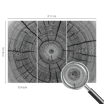 Fototapet för barn Skogens harmoni