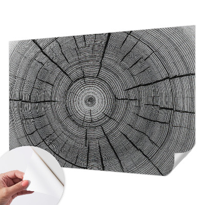 Fototapet för barn Skogens harmoni