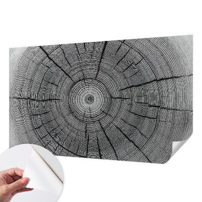 Fototapet för barn Skogens harmoni