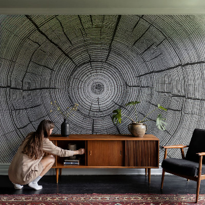 Fototapet för barn Skogens harmoni