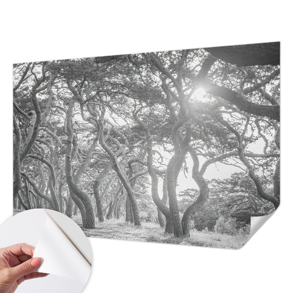 Fototapet barnrum med motiv av en atmosfärisk skog