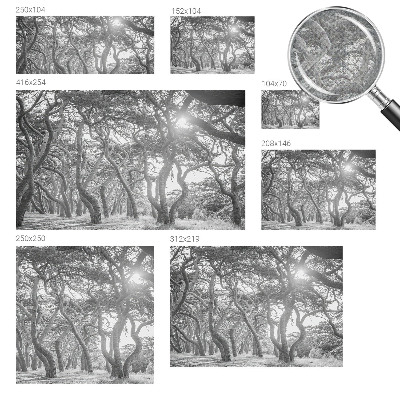 Fototapet barnrum med motiv av en atmosfärisk skog