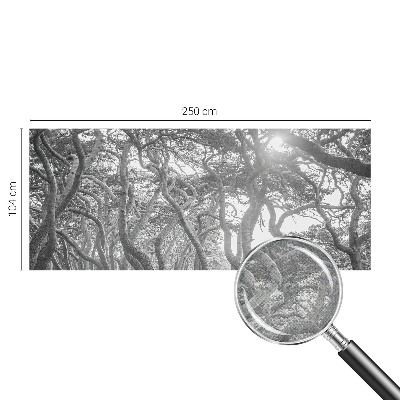 Fototapet barnrum Atmosfärisk skog