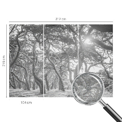 Fototapet barnrum med motiv av en atmosfärisk skog
