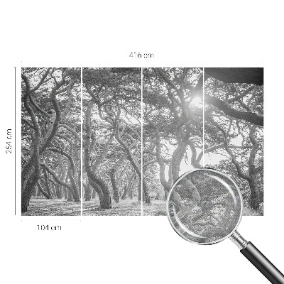 Fototapet barnrum Atmosfärisk skog