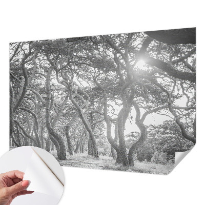 Fototapet barnrum med motiv av en atmosfärisk skog