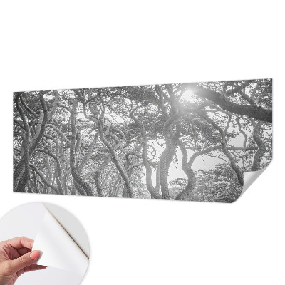 Fototapet barnrum med motiv av en atmosfärisk skog
