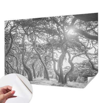 Fototapet barnrum med motiv av en atmosfärisk skog