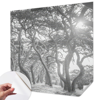 Fototapet barnrum med motiv av en atmosfärisk skog