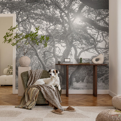 Fototapet barnrum med motiv av en atmosfärisk skog