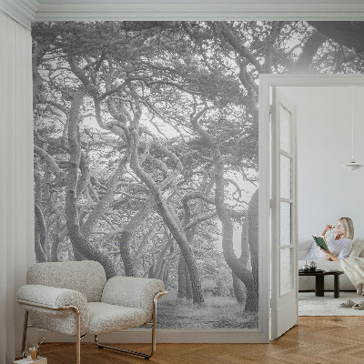 Fototapet barnrum med motiv av en atmosfärisk skog
