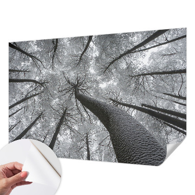 Peel and stick fototapet med motiv av vinterlandskap