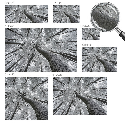Peel and stick fototapet med motiv av vinterlandskap