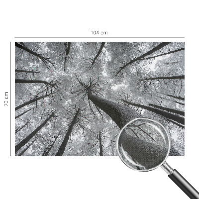 Peel and stick fototapet med motiv av vinterlandskap
