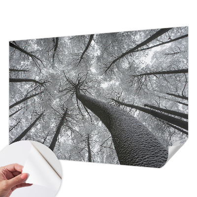 Peel and stick fototapet med motiv av vinterlandskap
