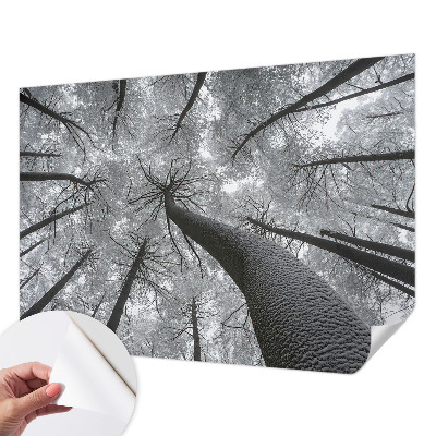 Peel and stick fototapet med motiv av vinterlandskap