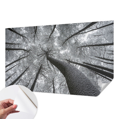 Peel and stick fototapet med motiv av vinterlandskap