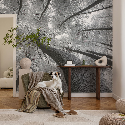 Peel and stick fototapet med motiv av vinterlandskap