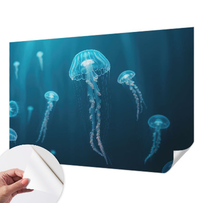 Fototapet barnrum Maritim elegans