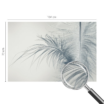 3D fototapet med motiv av en fin fjäder