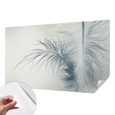 3D fototapet med motiv av en fin fjäder