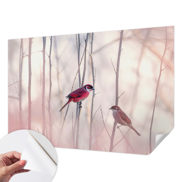 Fototapet barn Fågelpar